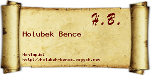 Holubek Bence névjegykártya
